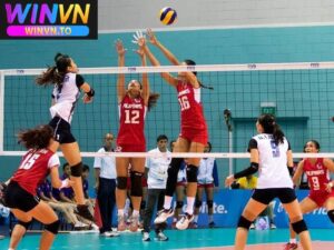 Một số loại cược bóng chuyền tại Winvn