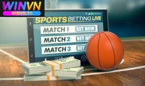 Lựa chọn đội mạnh, ổn định