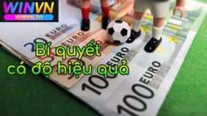 Cá độ bóng đá là gì ?