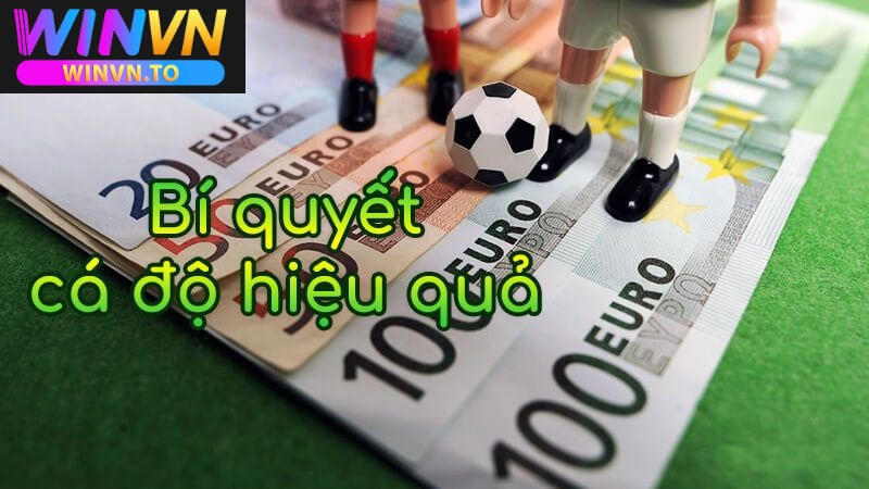 Mẹo cá cược bóng đá siêu uy tín chỉ có tại Winvn 2025 2 Cá độ bóng đá là gì ?